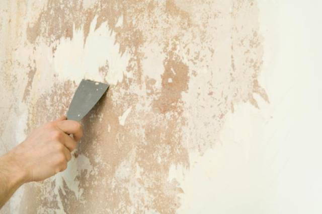 vệ sinh bề mặt tường trước khi sơn